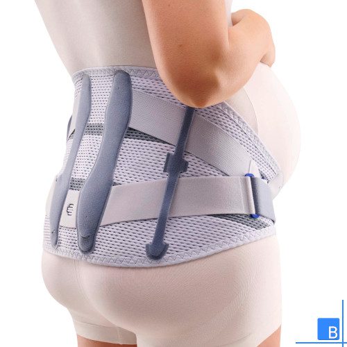 Spinova Mum Ansicht von hinten